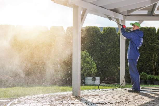 Best Soft Washing  in Edgewood, IN