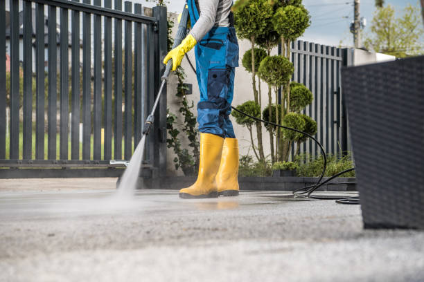 Best Dumpster Area Cleaning  in Edgewood, IN